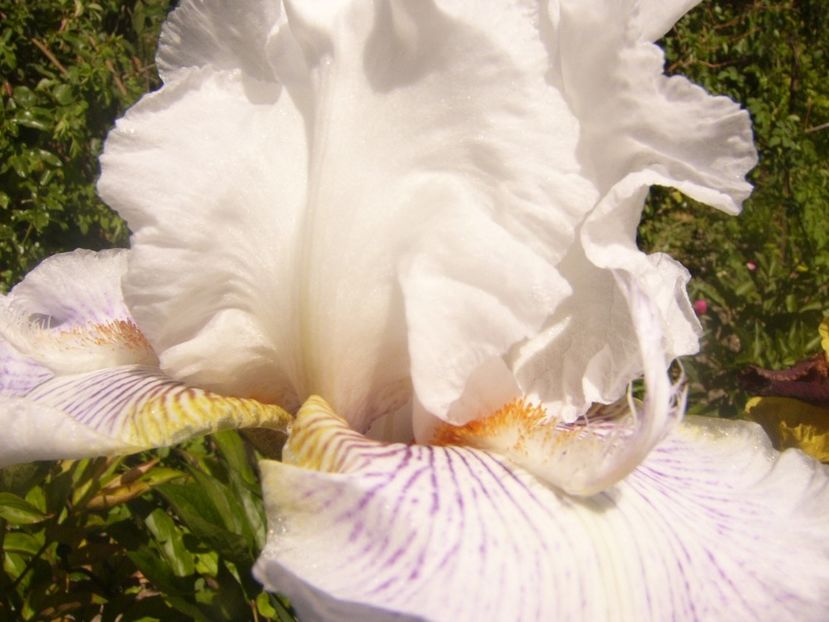 P1360160 - ANUL 2020