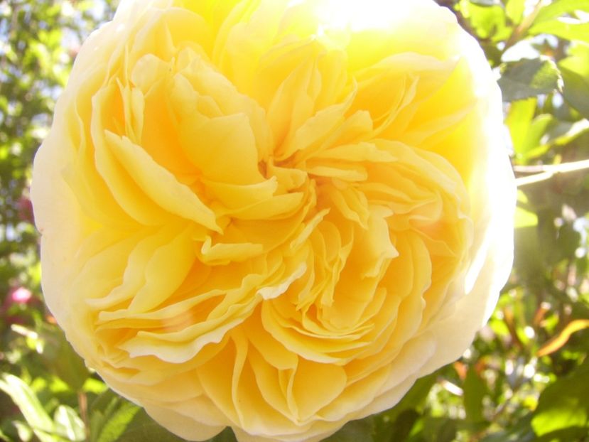 P1360769 - ANUL2020 II