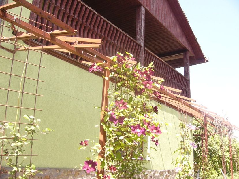 P1360792 - ANUL2020 II