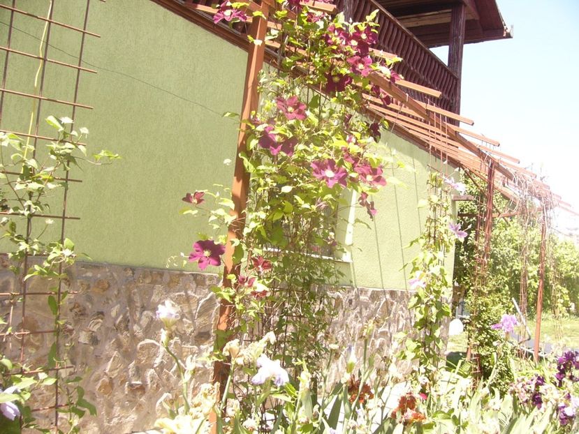 P1360793 - ANUL2020 II