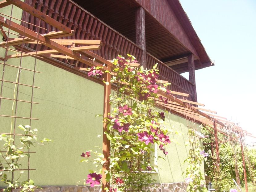 P1360794 - ANUL2020 II