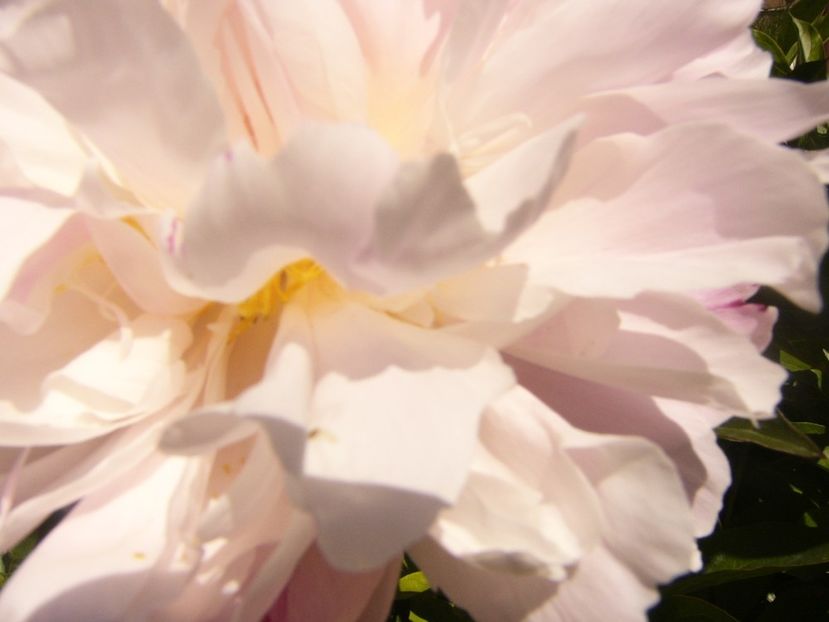 P1360898 - ANUL2020 II