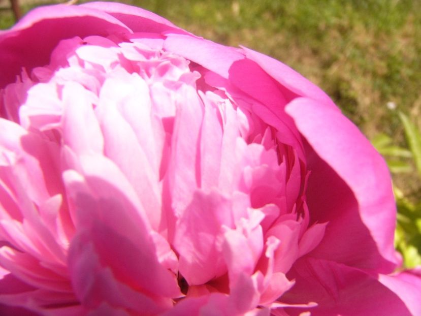 P1370027 - ANUL2020 II