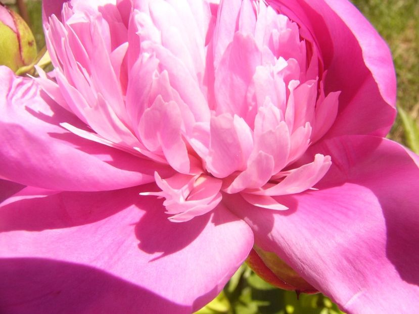 P1370028 - ANUL2020 II