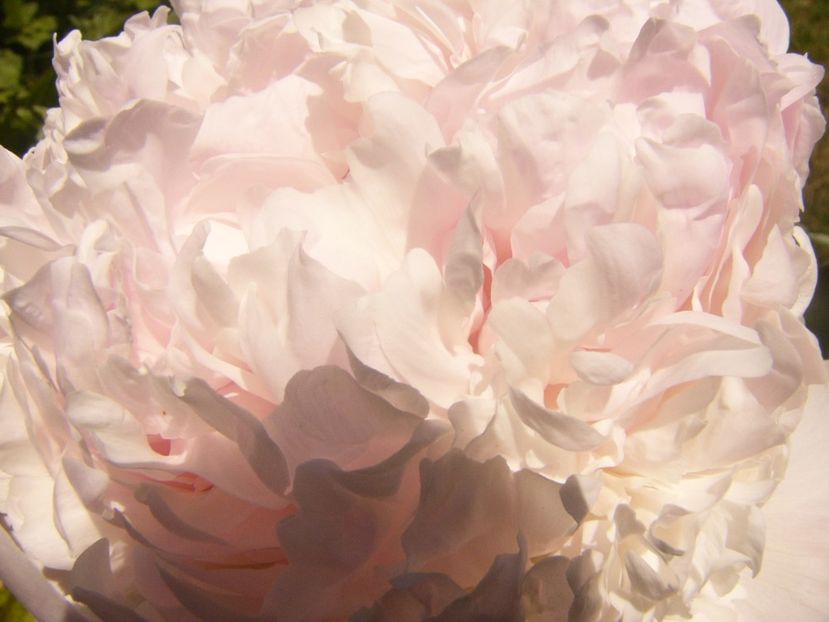 P1370036 - ANUL2020 II