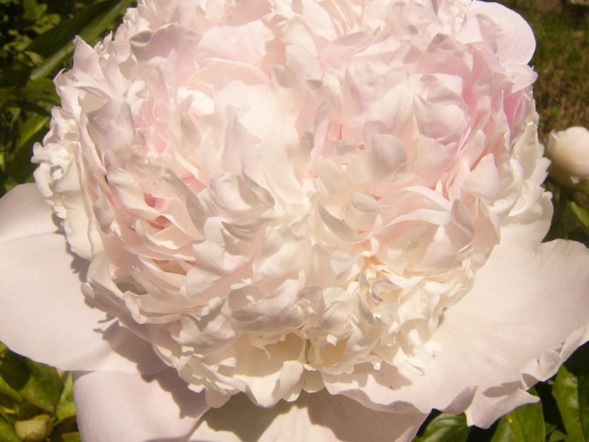 P1370040 - ANUL2020 II