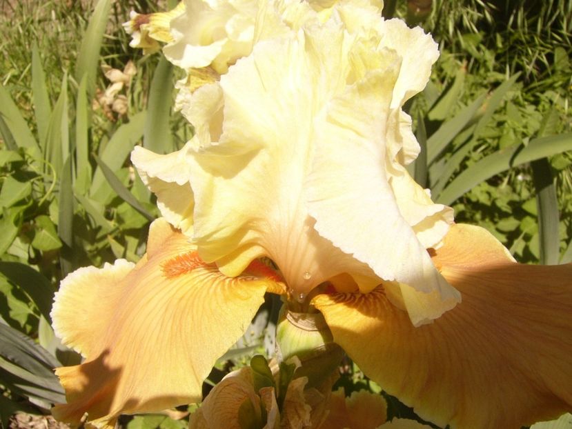 P1370069 - ANUL2020 II