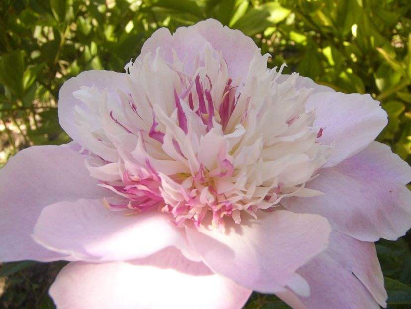 P1370072 - ANUL2020 II