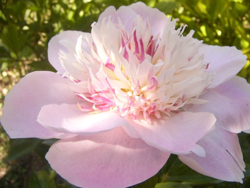 P1370073 - ANUL2020 II