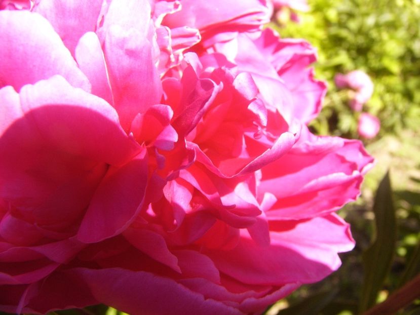 P1370092 - ANUL2020 II