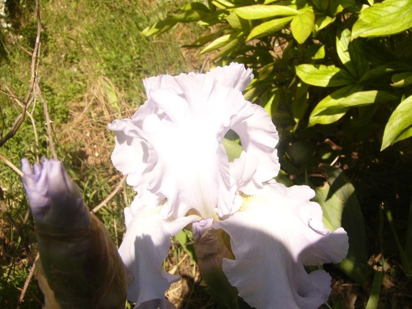 P1370121 - ANUL2020 II