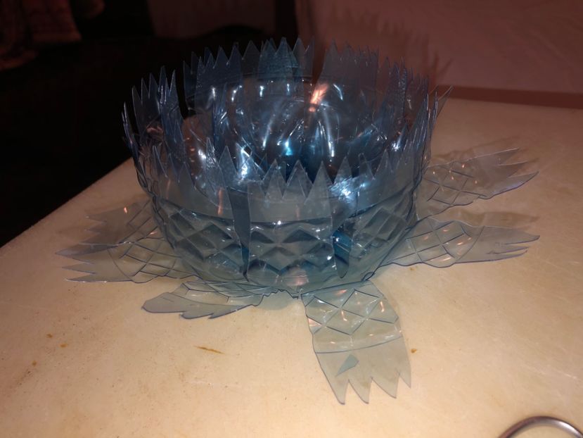 78F31C5F-CFA5-49BC-B6AF-B66CE9D13CB5 - Idei puse in practica 2020