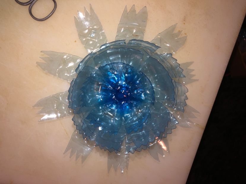 D5B493A8-89F3-411E-B272-0972CA6CC345 - Idei puse in practica 2020