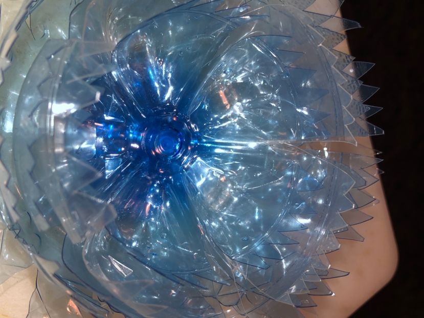 E94B3607-A414-437E-BE5D-83A6663829B3 - Idei puse in practica 2020