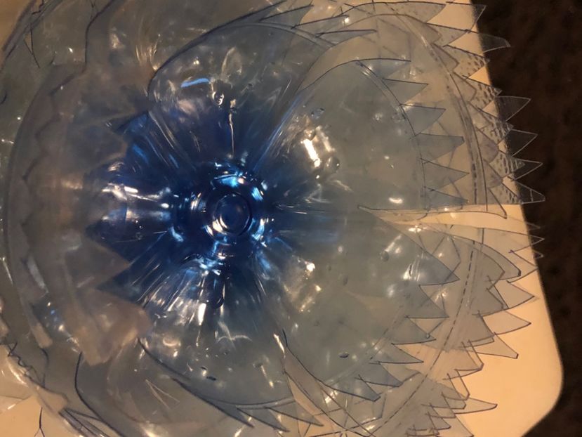 A513972F-524A-4099-B421-87CA51818D40 - Idei puse in practica 2020