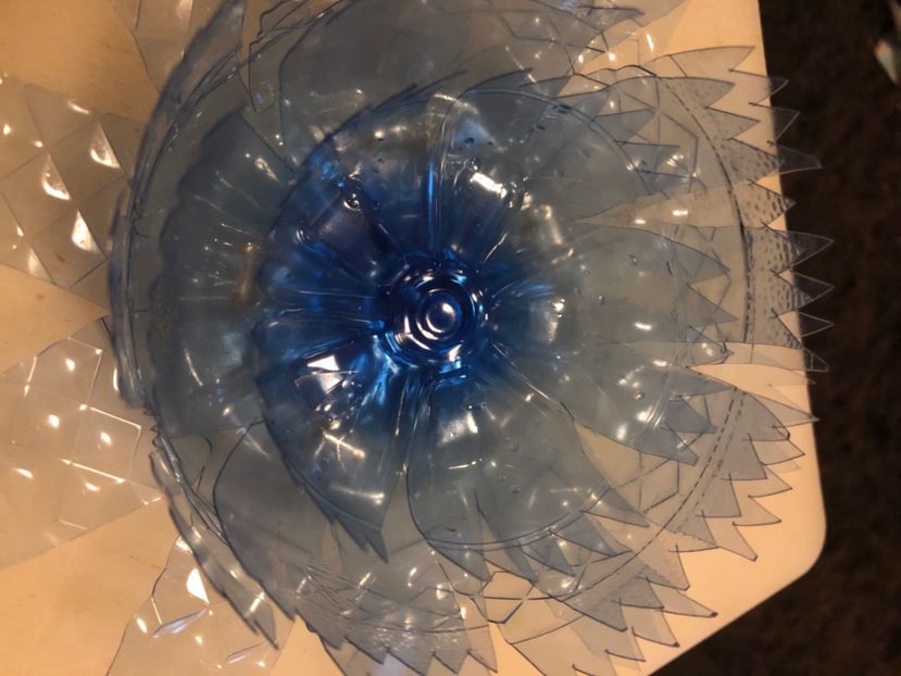 73DD5BBD-D6CA-40DA-A3BE-850679082394 - Idei puse in practica 2020