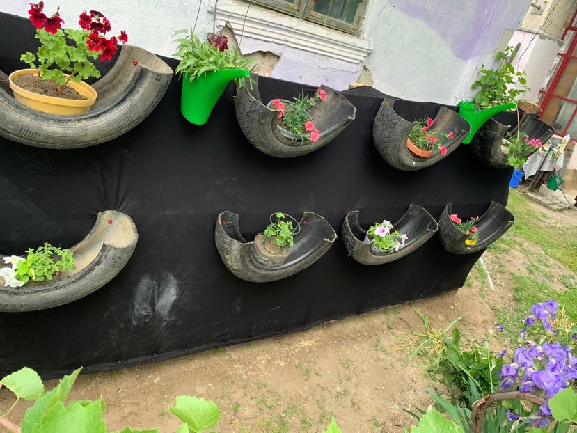 4DC8196D-BBC2-45BC-915E-BA384E0536D9 - Idei puse in practica 2020