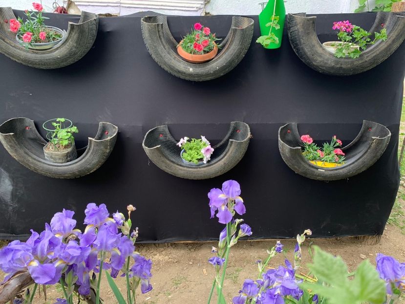 5E588218-E82A-4D2D-84D1-03421BAA8509 - Idei puse in practica 2020