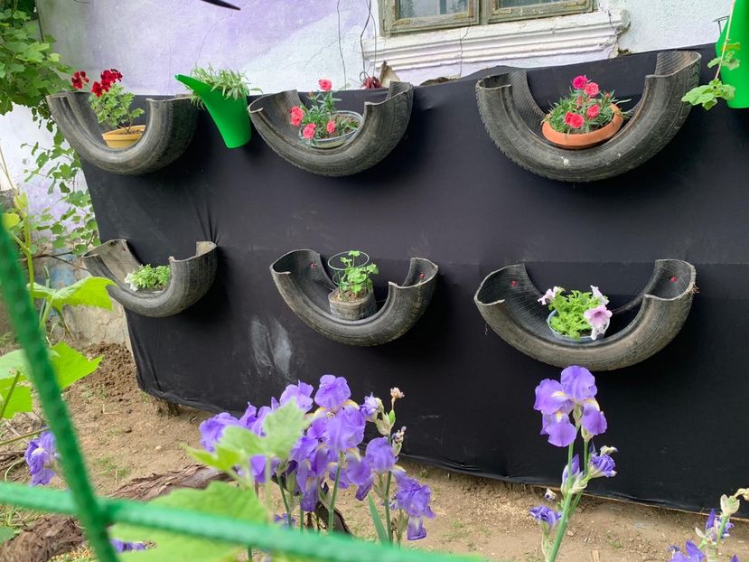 91DC7231-D2AE-4DA3-BC7E-220E9DE3E962 - Idei puse in practica 2020