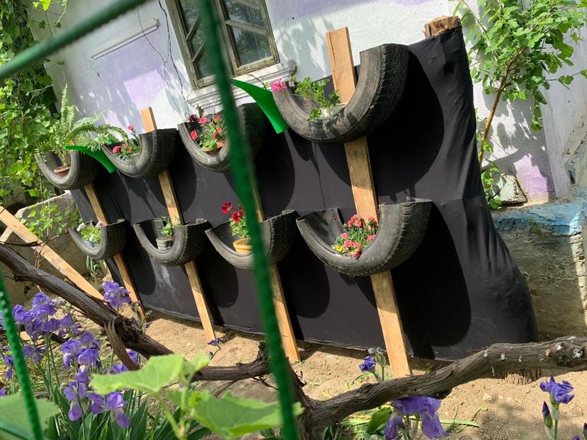 4160EA5F-E3E7-473F-9CE5-1A9F54BC73C5 - Idei puse in practica 2020