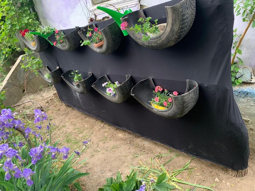 CEE4FEC2-3563-4C82-93E8-AEE7F6C82DF2 - Idei puse in practica 2020