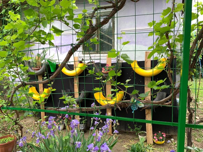 EEDF9DB1-4C9F-449A-A125-59FA615EA679 - Idei puse in practica 2020