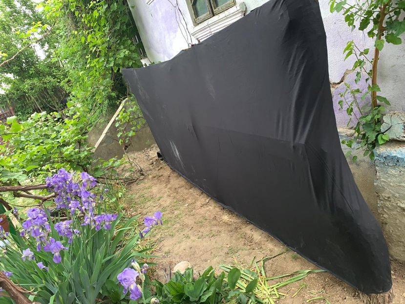 4D7A48E9-BBB2-47C6-82CA-2BE92E5760F1 - Idei puse in practica 2020