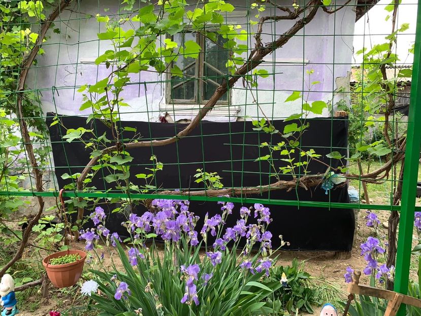 258C3239-4FB9-4690-865F-BB62DC75E4EF - Idei puse in practica 2020