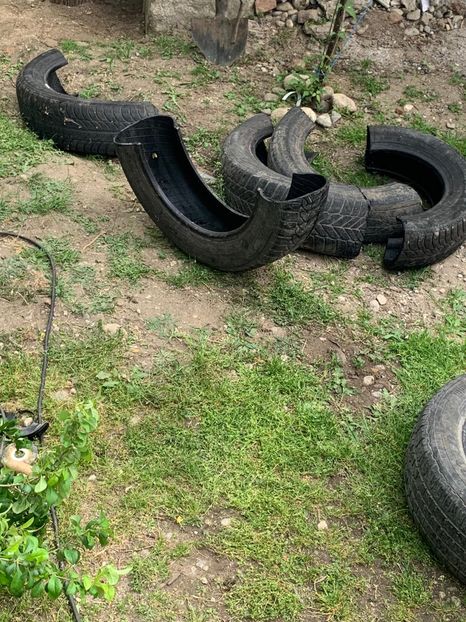 A653B9FC-72F5-4619-B1DB-A07D69D28124 - Idei puse in practica 2020