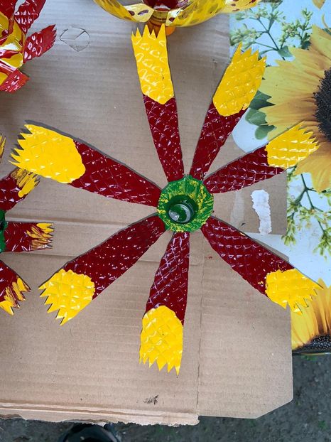 C994D143-86D7-4272-854A-C53275CBD1A2 - Idei puse in practica 2020