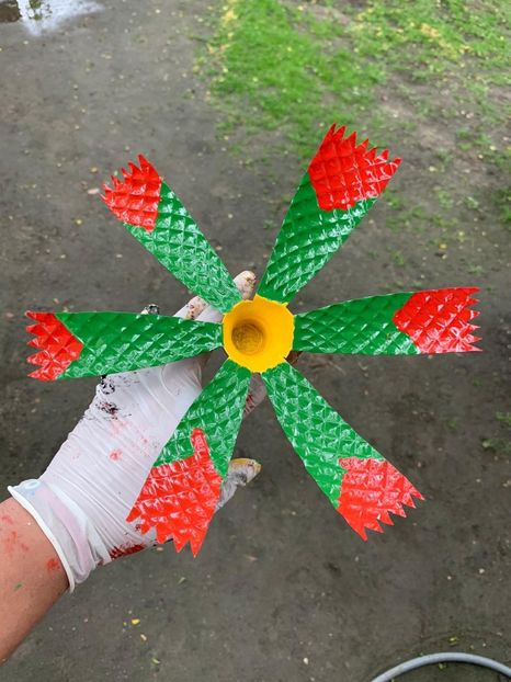 A84E76A5-C60F-45D7-B182-89316E10D16F - Idei puse in practica 2020