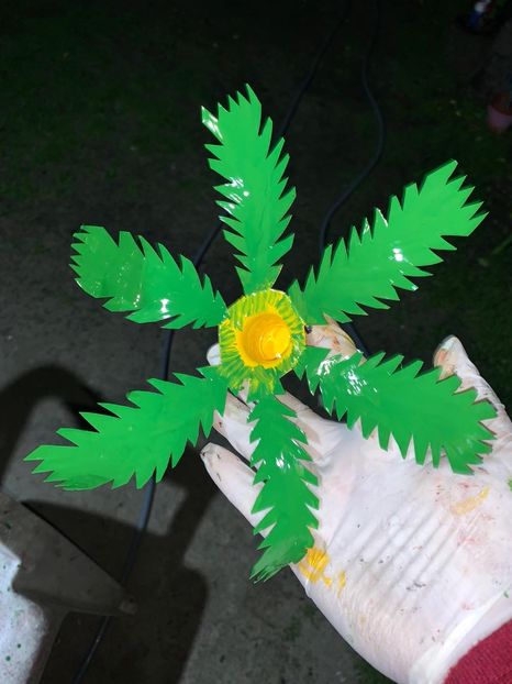 86D16E56-6BFE-4F40-ABC1-64128332A13F - Idei puse in practica 2020