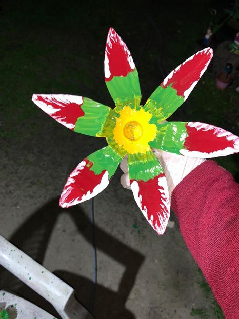 3D291591-078C-4713-9F94-40D7E7FF6418 - Idei puse in practica 2020