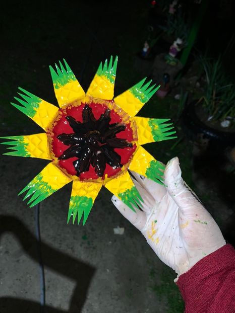 78FEEA73-EF8A-4723-8366-44E67B450D7B - Idei puse in practica 2020