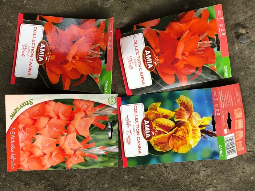 F852EB15-4BB1-4BF3-9B5D-EF2A8C6E2F62 - Florile mele 2020