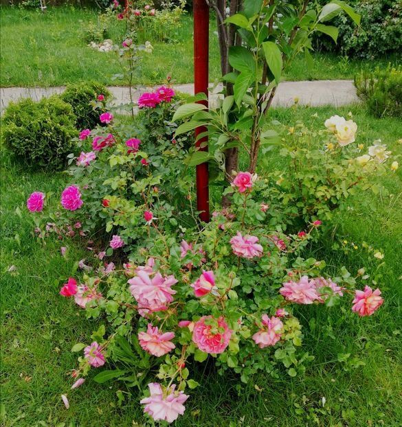  - Christopher Marlowe