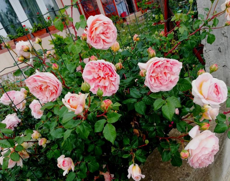  - Abraham Darby