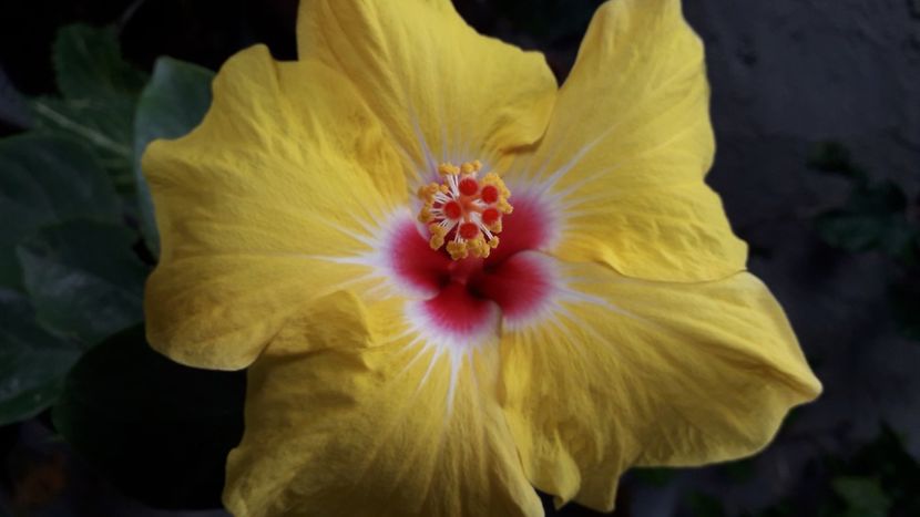  - Talmeș balmeș 2020