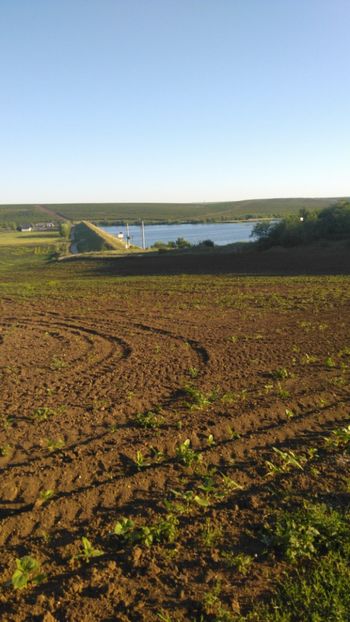 IMG-20200522-WA0004 - Acumularea Murani