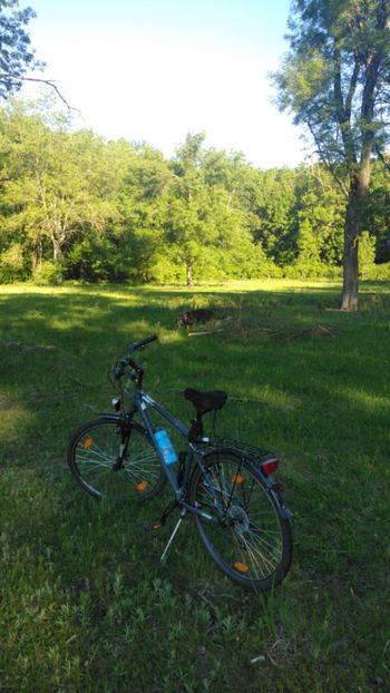 IMG-20200522-WA0006 - Acumularea Murani