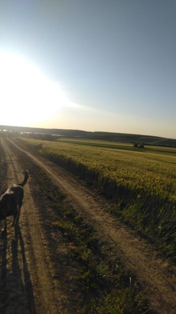 IMG-20200522-WA0000 - Acumularea Murani