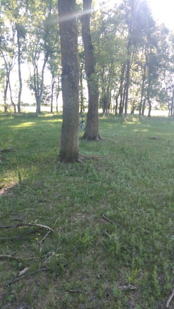 IMG-20200522-WA0008 - Acumularea Murani