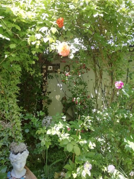  - Grădina 2020 continuare 1