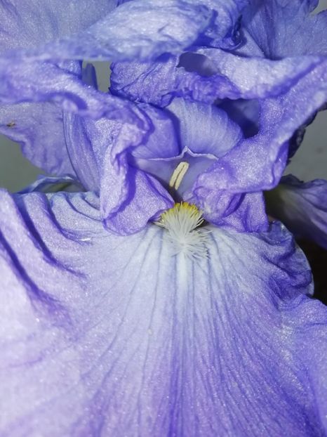 Mary Frances - Grădina 2020 continuare 1