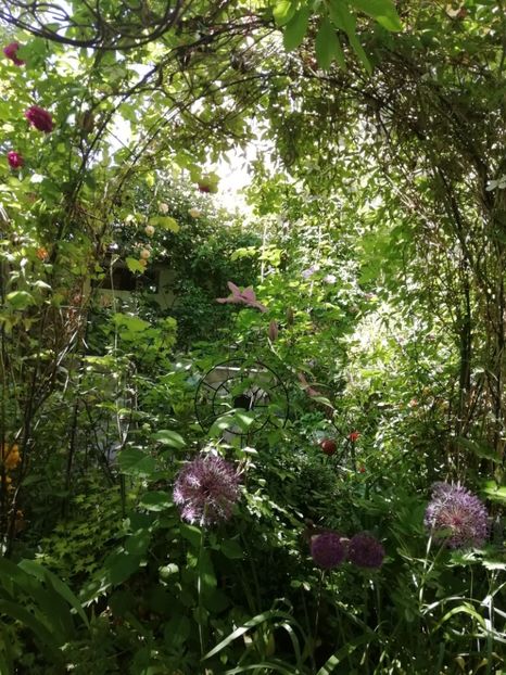  - Grădina 2020 continuare 1