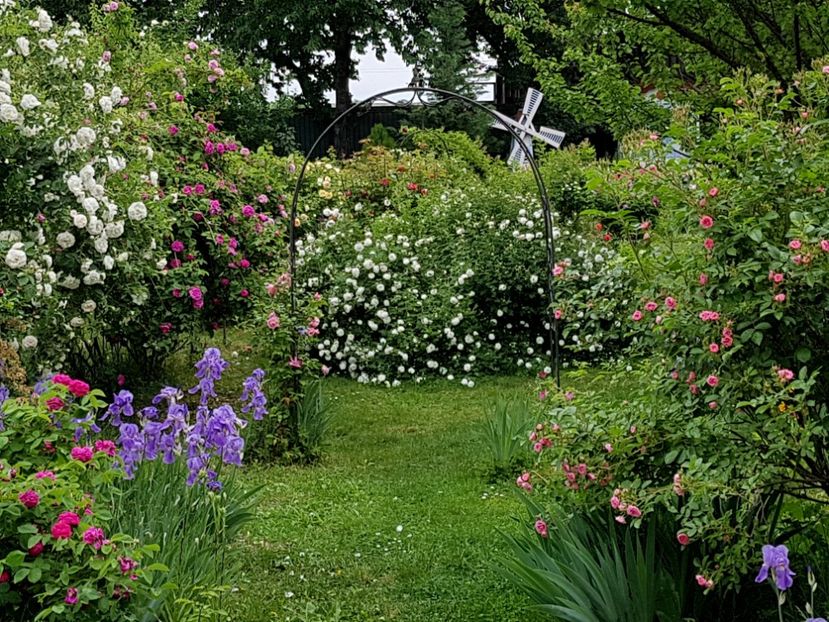  - 2020_Piateta Madamelor