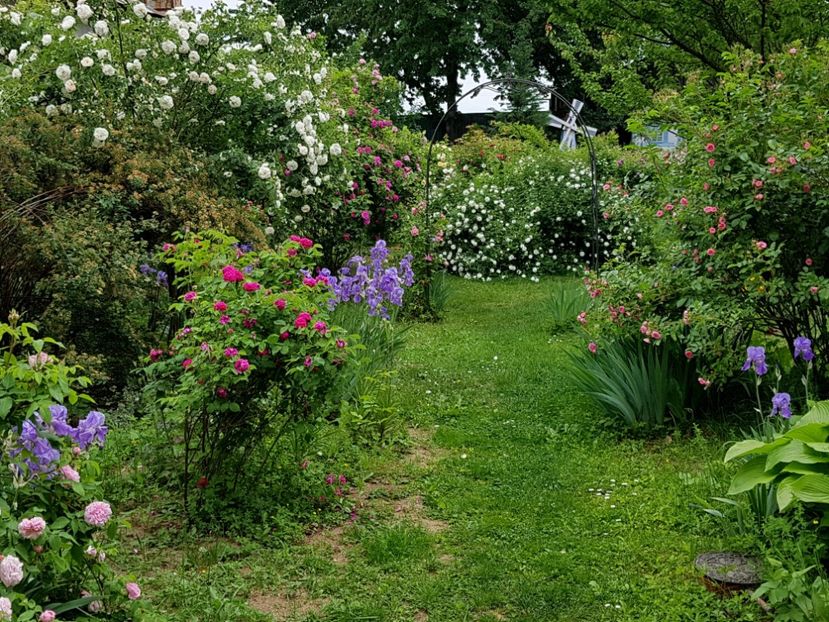  - 2020_Piateta Madamelor