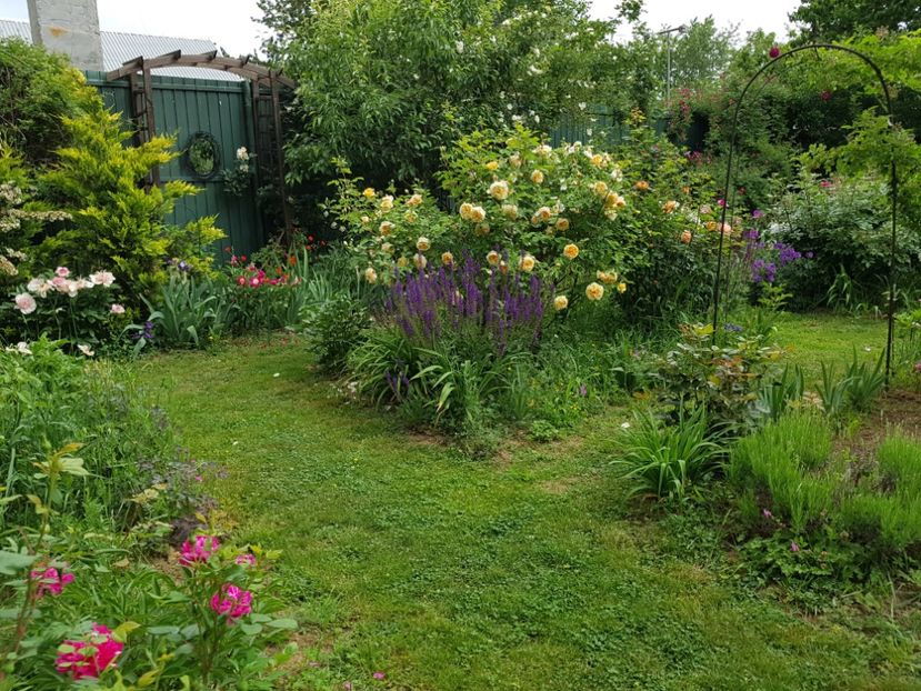  - 2020_Roze Idilic Garden