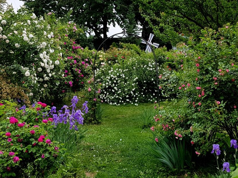  - 2020_Roze Idilic Garden