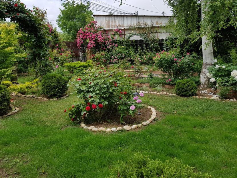  - 2020_Roze_Gradina Rozelor